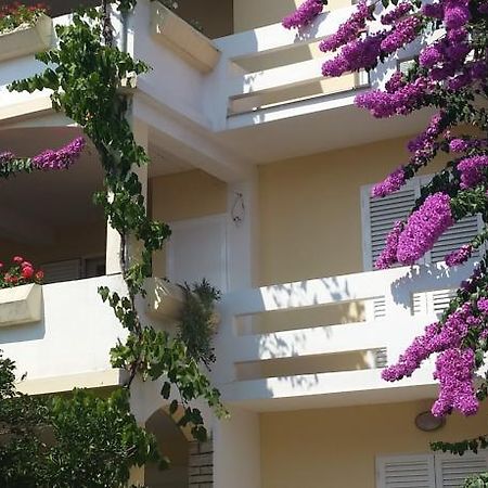 Apartment Katarina Novalja Cameră foto